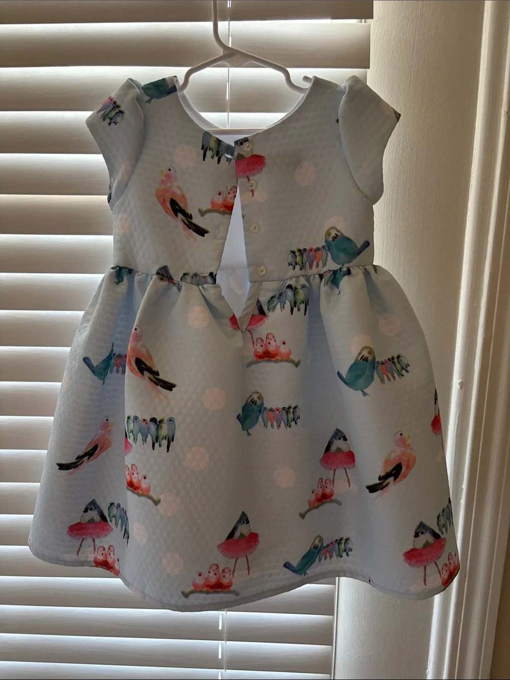 Girls Light Blue Bird Print Party Dress